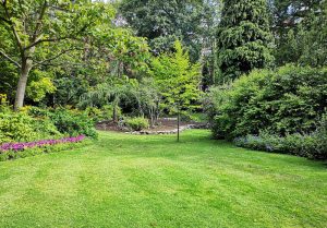 Optimiser l'expérience du jardin à Saint-Benoit-la-Foret